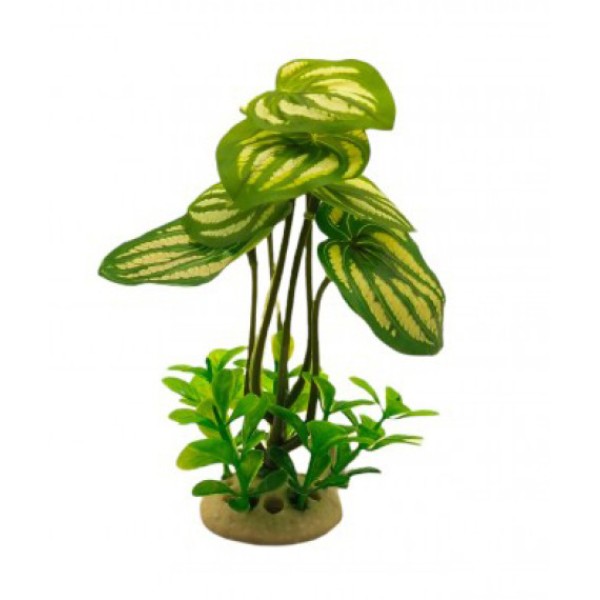 ΔΙΑΚΟΣΜΗΤΙΚΟ ΦΥΤΟ ΕΝΥΔΡΕΙΟΥ 16CM